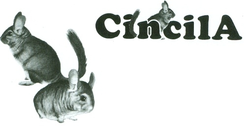 cincila srbija odgajivacnica